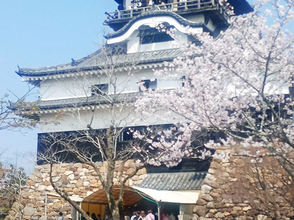 すまいをトーク