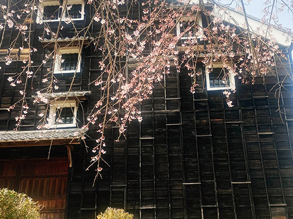 すまいをトーク